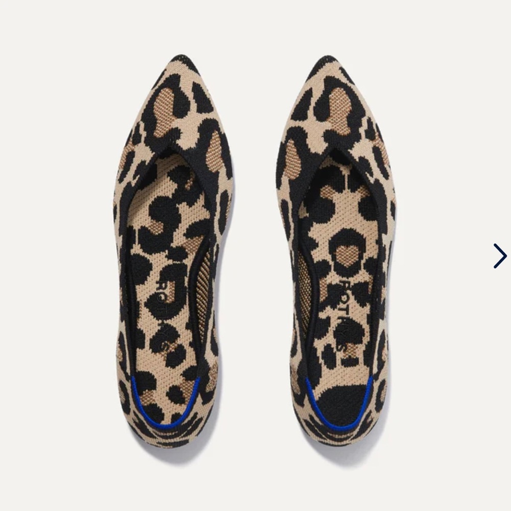 Rothy’s Desert Cat Pointed Toe Flat (Like New)